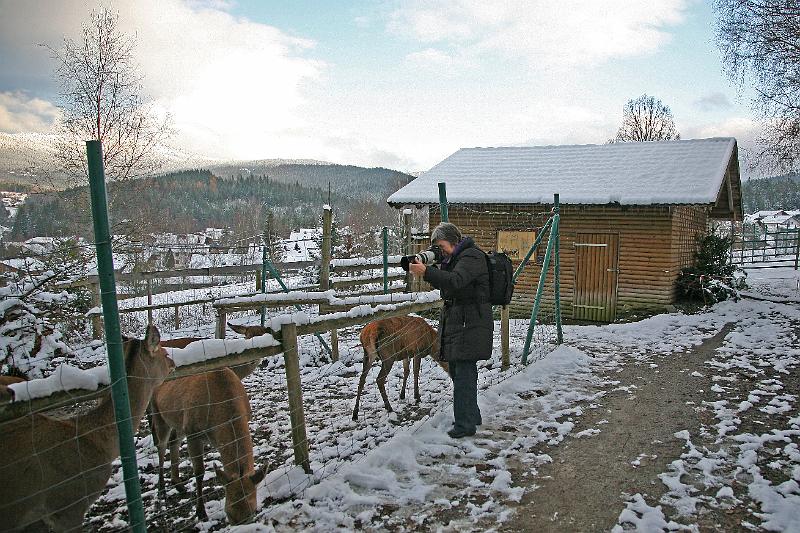 Bayerwald Tierpark_22.jpg